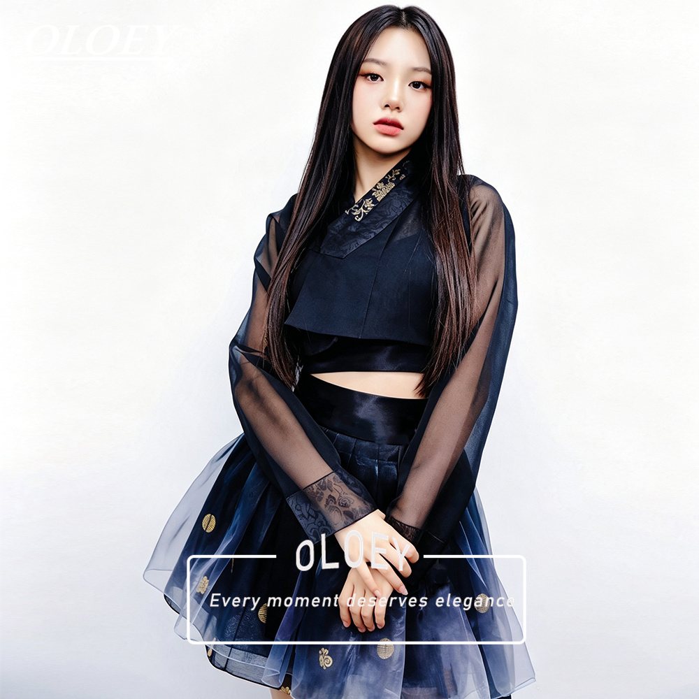 Modern Korean Lifestyle - OLOEY Hanbok court vintage bicolore 2026,